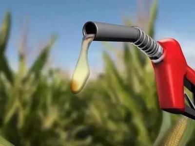 无铅汽油和乙醇汽油有什么不同?混加对汽车有什么影响?